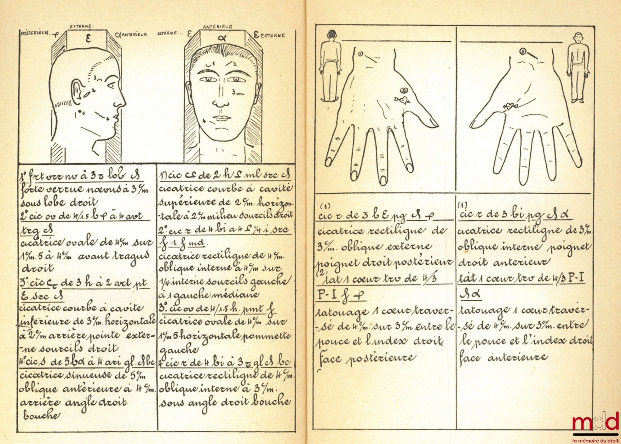 BÉROUD (Georges) – PRECIS OF CRIMINOLOGY AND FORENSIC POLICE, Preface by M. A. Rol, Scientific Library