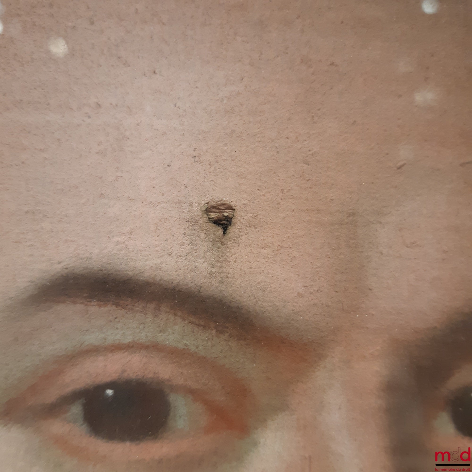 [Magistrat - XVIIIe siècle] – PORTRAIT D’UN MAGISTRAT, École française du XVIIIe siècle, pastel