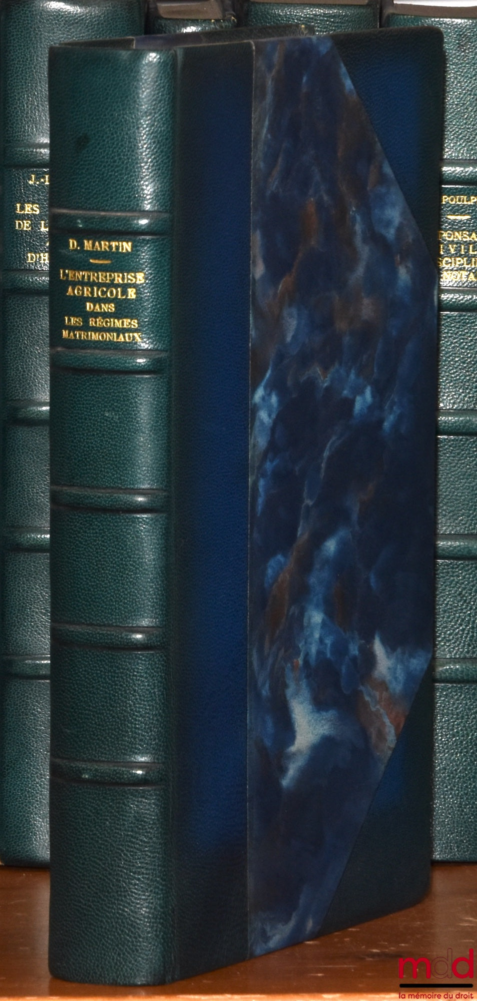 MARTIN (Didier) – AGRICULTURAL ENTERPRISES IN MATRIMONIAL REGIMES, Preface by Jacques Béguin, Private Law Library, vol. CXXXIV