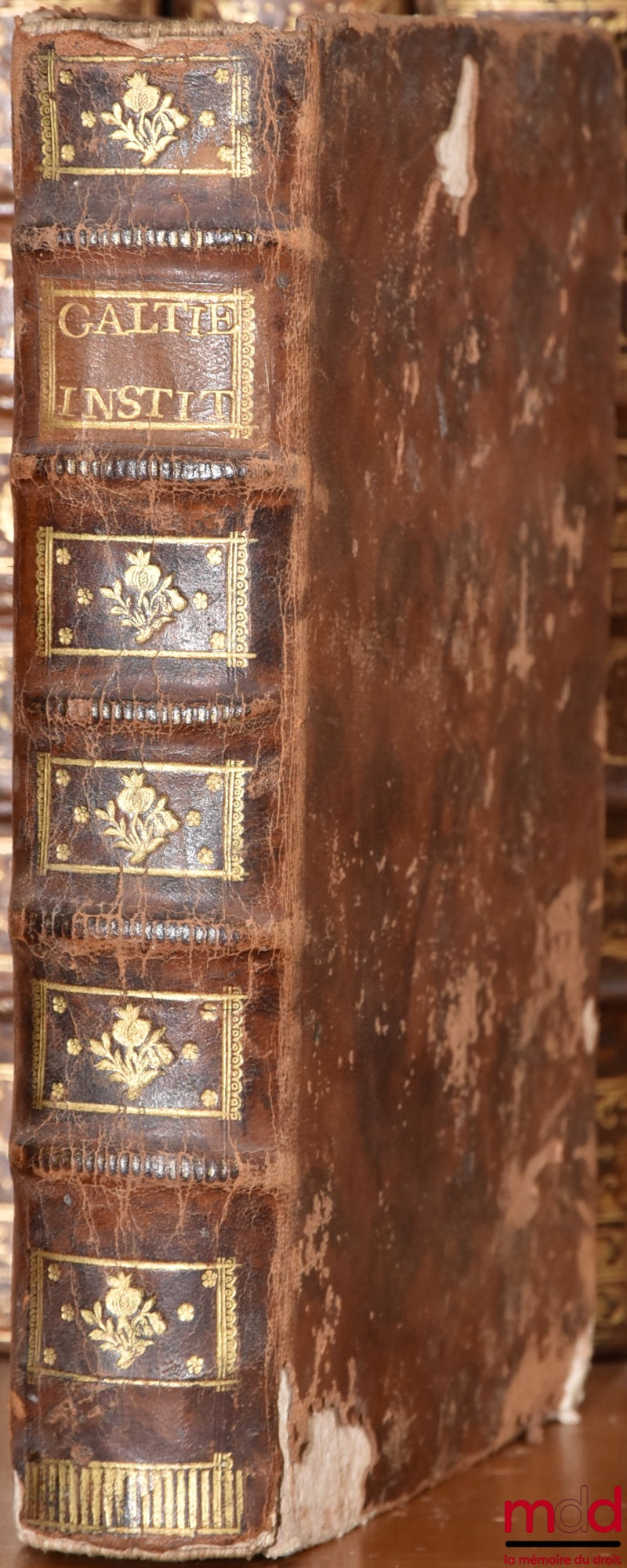 GALTIER (Daniel de) – THEOPHILUS RENOVATUS, SIVE LEVIS AC SIMPLEX VIA AD INSTITUTIONES JURIS CIVILIS. CUM DUPLICI INDICE. Prior continet principia Juris, suis auctoritatibus fulta. Alter vero est rerum notabilium, quæ in hoc opere continentur. Ed. novissi