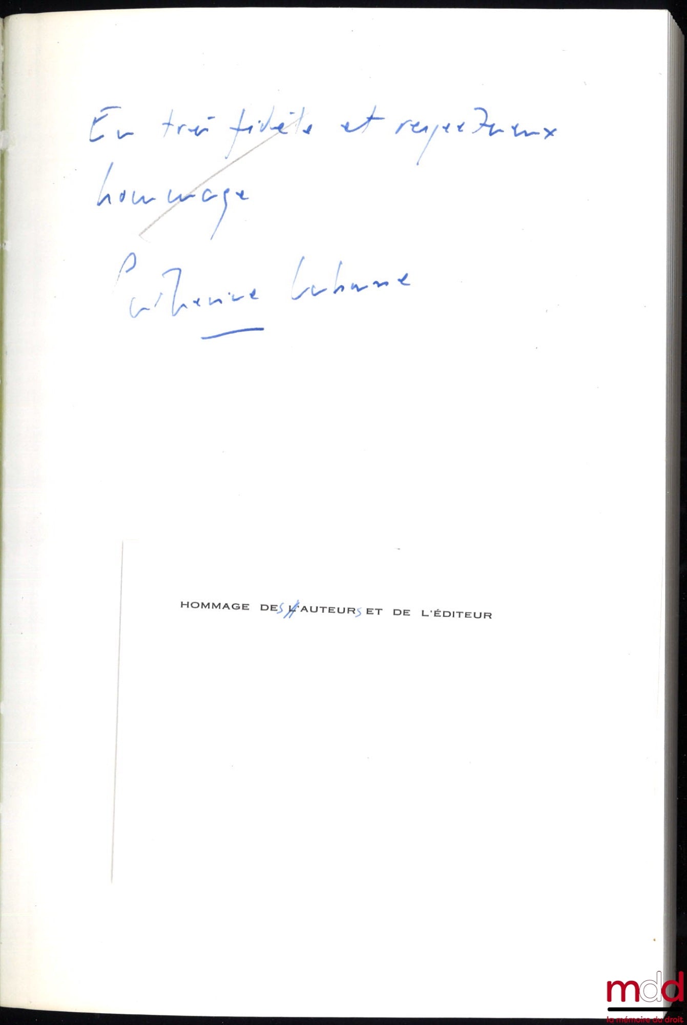 HUET-WEILLER (D.), LABRUSSE (C.) et VAN CAMELBEKE (M.) – LA FILIATION, coll. Jurisprudence française n° 1