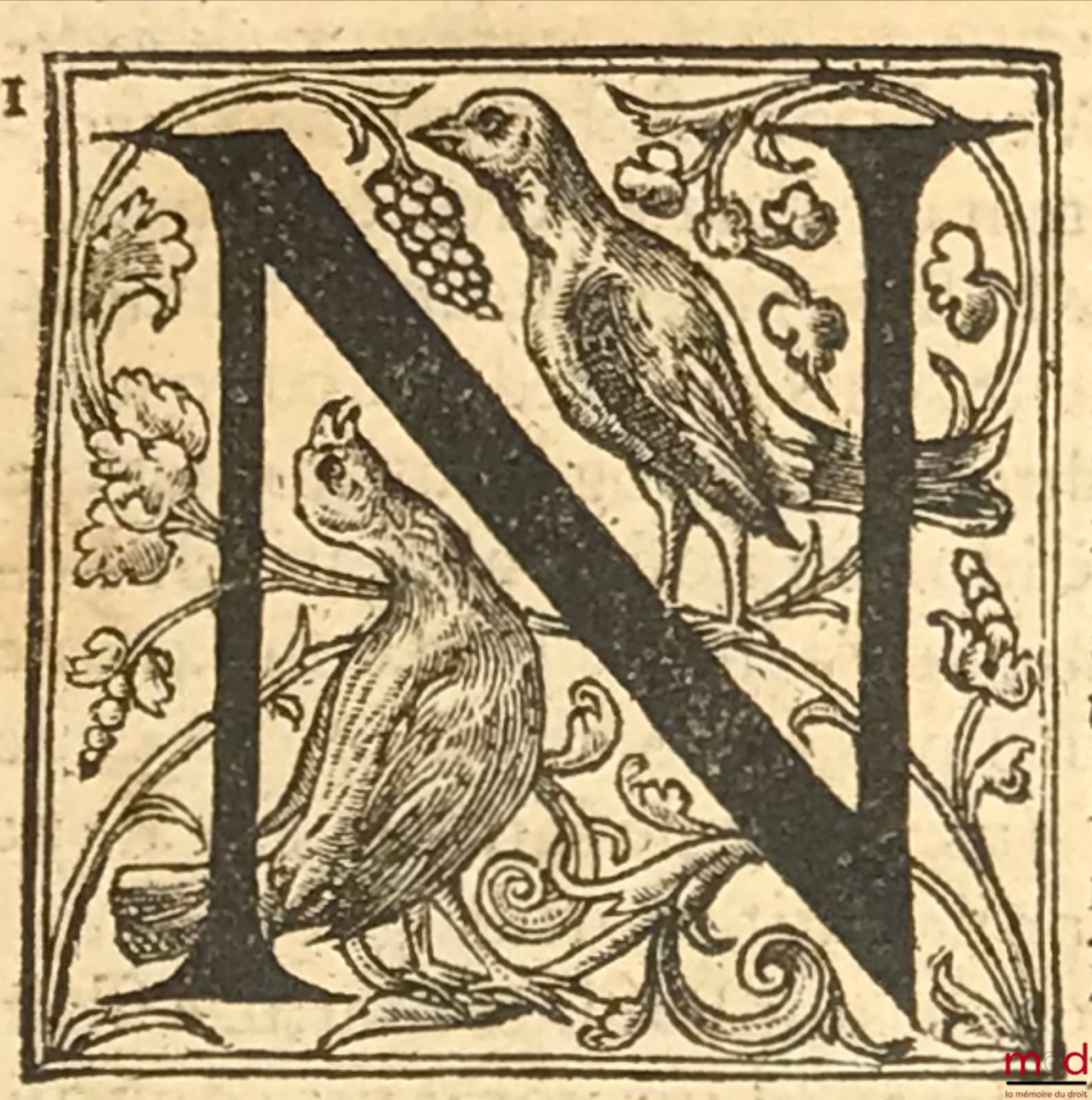 TIRAQUELLI (Andreæ) [TIRAQUEAU (André)] – REGII IN CURIA PARISIENSI SENATORIS. t. I: DIGNISSIMI, OPERA OMNIA, Quæ hactenus extant, Septem Tomis distincta: quorum hic Primus continet libros, DE NOBILITATE, ET IURE PRIMIGENIORUM, IAM DENVO RECUSA, ET A PL