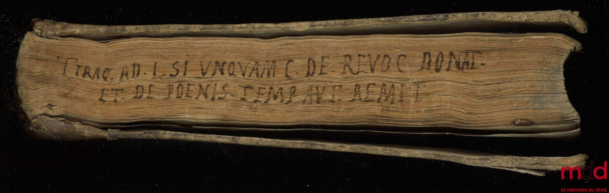 TIRAQUELLI (Andreæ) [TIRAQUEAU (André)] – REGII IN CURIA PARISIENSI SENATORIS. t. I: DIGNISSIMI, OPERA OMNIA, Quæ hactenus extant, Septem Tomis distincta: quorum hic Primus continet libros, DE NOBILITATE, ET IURE PRIMIGENIORUM, IAM DENVO RECUSA, ET A PL