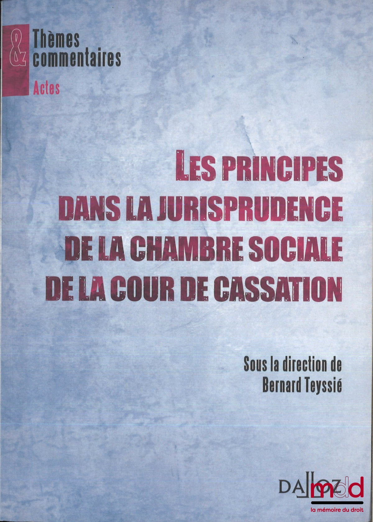 [Collectif] – LES PRINCIPES DANS LA JURISPRUDENCE DE LA CHAMBRE SOCIALE DE LA COUR DE CASSATION, Bernard Teyssié (dir.)