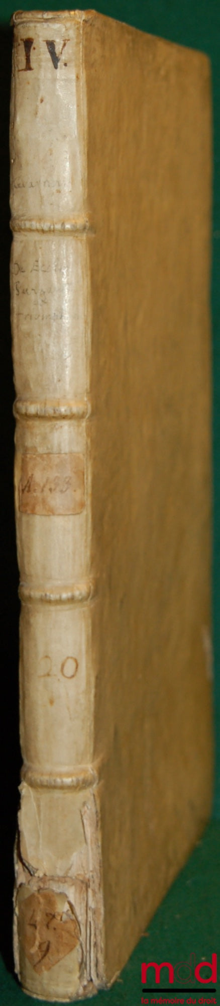 GUARNIERI (Fr. Felice Antonio) – OPUS DE ECCLESIA PURGANTE, ET TRIUMPHANTE, ELABORATUM A FR. ANTONIO GUARNIERI DE MONTE REGALI…PRO INSTRUCTIONE, ET COMMODIDATE TYRONUM SUÆ RELIGIONIS